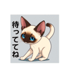 ペットの可愛いシャムネコ（個別スタンプ：17）