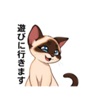 ペットの可愛いシャムネコ（個別スタンプ：19）