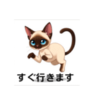 ペットの可愛いシャムネコ（個別スタンプ：20）