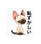 ペットの可愛いシャムネコ（個別スタンプ：24）