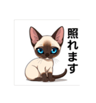 ペットの可愛いシャムネコ（個別スタンプ：25）