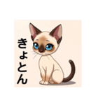ペットの可愛いシャムネコ（個別スタンプ：26）