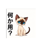 ペットの可愛いシャムネコ（個別スタンプ：28）