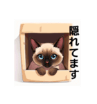 ペットの可愛いシャムネコ（個別スタンプ：36）