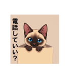 ペットの可愛いシャムネコ（個別スタンプ：37）