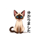 ペットの可愛いシャムネコ（個別スタンプ：38）