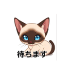 ペットの可愛いシャムネコ（個別スタンプ：39）