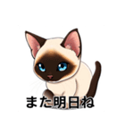 ペットの可愛いシャムネコ（個別スタンプ：40）