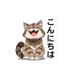 ペットの可愛いメインクーン（個別スタンプ：2）