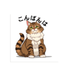 ペットの可愛いメインクーン（個別スタンプ：3）