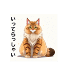 ペットの可愛いメインクーン（個別スタンプ：5）