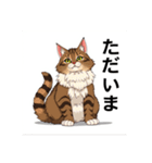 ペットの可愛いメインクーン（個別スタンプ：7）