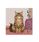 ペットの可愛いメインクーン（個別スタンプ：8）