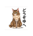 ペットの可愛いメインクーン（個別スタンプ：9）