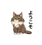ペットの可愛いメインクーン（個別スタンプ：11）