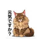 ペットの可愛いメインクーン（個別スタンプ：13）