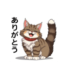 ペットの可愛いメインクーン（個別スタンプ：14）