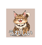 ペットの可愛いメインクーン（個別スタンプ：16）