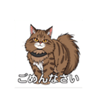 ペットの可愛いメインクーン（個別スタンプ：17）