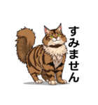 ペットの可愛いメインクーン（個別スタンプ：18）