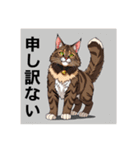 ペットの可愛いメインクーン（個別スタンプ：19）