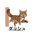 ペットの可愛いメインクーン（個別スタンプ：21）