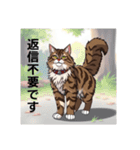ペットの可愛いメインクーン（個別スタンプ：25）