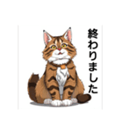 ペットの可愛いメインクーン（個別スタンプ：26）
