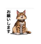 ペットの可愛いメインクーン（個別スタンプ：27）