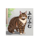 ペットの可愛いメインクーン（個別スタンプ：29）