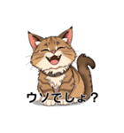 ペットの可愛いメインクーン（個別スタンプ：34）