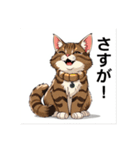 ペットの可愛いメインクーン（個別スタンプ：35）