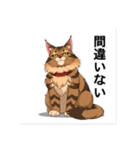 ペットの可愛いメインクーン（個別スタンプ：37）