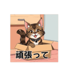 ペットの可愛いメインクーン（個別スタンプ：38）