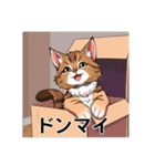 ペットの可愛いメインクーン（個別スタンプ：39）