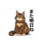ペットの可愛いメインクーン（個別スタンプ：40）