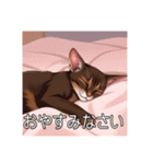 ペットの可愛いオリエンタルショートヘア（個別スタンプ：4）