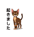ペットの可愛いオリエンタルショートヘア（個別スタンプ：6）