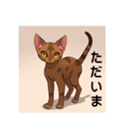 ペットの可愛いオリエンタルショートヘア（個別スタンプ：11）