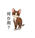 ペットの可愛いオリエンタルショートヘア（個別スタンプ：12）