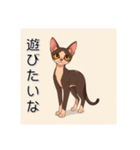 ペットの可愛いオリエンタルショートヘア（個別スタンプ：13）