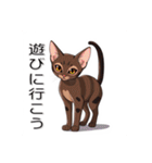 ペットの可愛いオリエンタルショートヘア（個別スタンプ：14）
