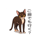 ペットの可愛いオリエンタルショートヘア（個別スタンプ：15）