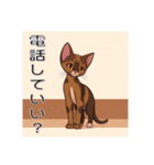 ペットの可愛いオリエンタルショートヘア（個別スタンプ：16）