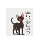 ペットの可愛いオリエンタルショートヘア（個別スタンプ：19）