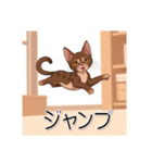 ペットの可愛いオリエンタルショートヘア（個別スタンプ：20）