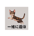 ペットの可愛いオリエンタルショートヘア（個別スタンプ：22）