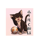 ペットの可愛いオリエンタルショートヘア（個別スタンプ：23）