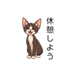ペットの可愛いオリエンタルショートヘア（個別スタンプ：36）