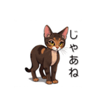 ペットの可愛いオリエンタルショートヘア（個別スタンプ：39）